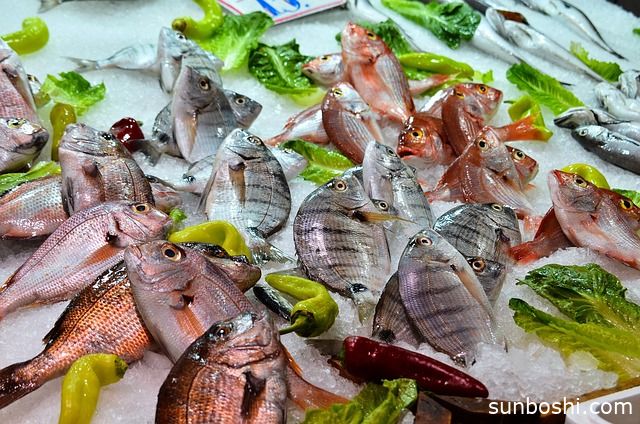 Omega-3 脂肪酸對人體健康的科學養(yǎng)生營養(yǎng)價值