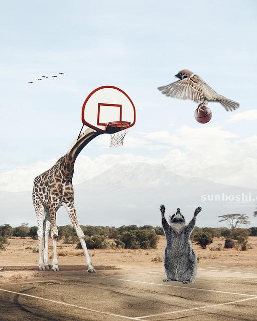 夢見打籃球-自己打籃球-孕婦打籃球-打籃球扣籃-別人打籃球