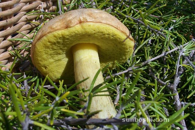 夢(mèng)見親人生病-親人死去-自己親人-已故親人-和親人