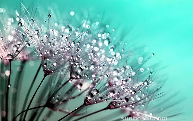 夢見自己在天上飛-女人自己在天上飛-孕婦自己在天上飛-自己在天上飛來飛去-老自己在天上飛