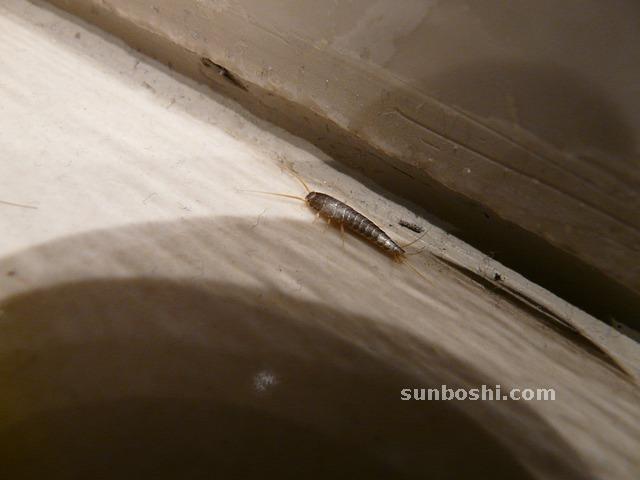 夢(mèng)見尿床-小孩尿床-孩子尿床-別人尿床-自己尿床