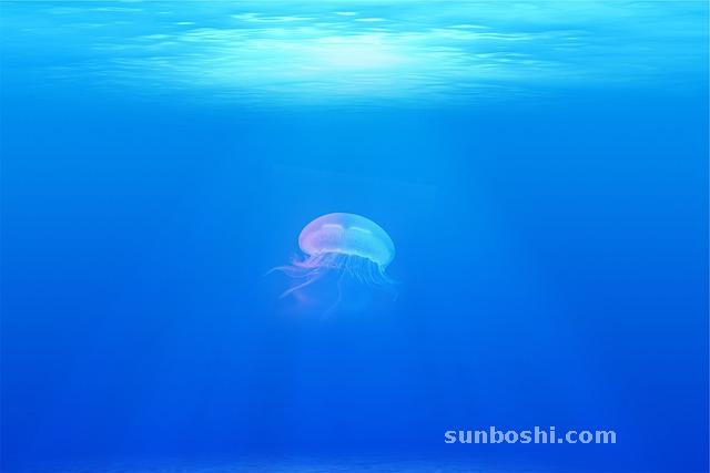 夢見果凍-孕婦果凍-買果凍-孕婦果凍生男生女-吃果凍