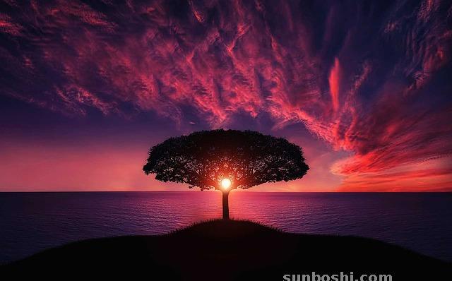 夢(mèng)境解析夢(mèng)見.-夢(mèng)見自己.-.夢(mèng)見魚.-夢(mèng)見死人.-夢(mèng)見肉.