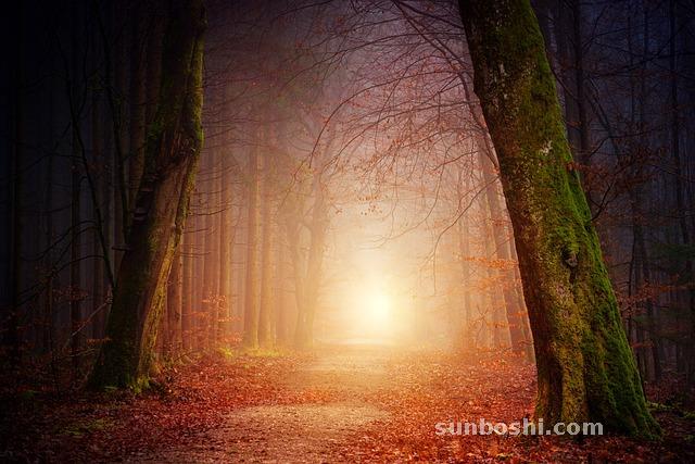 夢見很多-蛇很多-很多錢-很多被-水很多