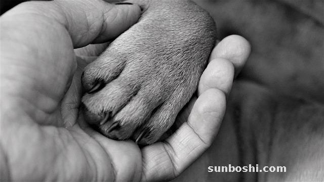 夢見跟-夢見跟別人-夢見跟朋友