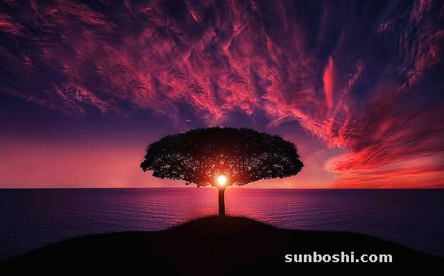 海漂蛸的功效與作用及禁忌