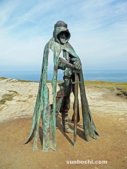 洛神花茶的功效與作用-洛神花茶男士