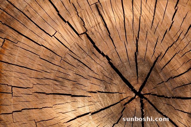 夢見別人砍樹-夢見別人砍樹枝-夢見別人砍樹倒下