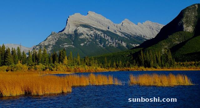 朱砂的功效與作用佩戴禁忌-紫朱砂佩戴-朱砂佩戴后-戴朱砂佩戴