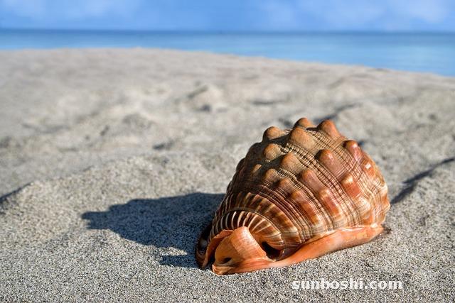 知柏地黃丸有什么功效與作用-知柏地黃丸適宜年齡-知柏地黃丸簡介-女人吃知柏地黃丸