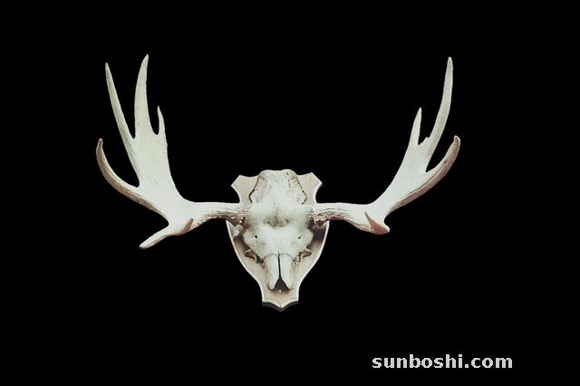 鹿茸的功效與作用吃法