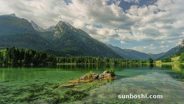 利巴韋林的作用與功效-鴿子用利巴韋林-感冒吃利巴韋林-利巴韋林玉屏風-利巴韋林粉劑