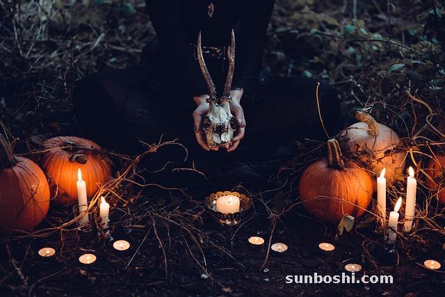 南瓜的作用與功效-南瓜子-南瓜粥-南瓜籽