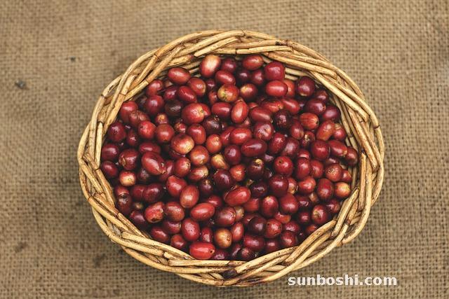 紅豆的功效與作用-紅豆湯-紅豆杉-薏米紅豆-紅豆粥