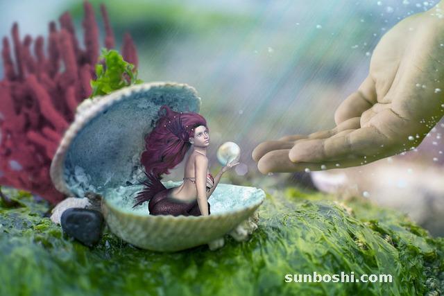 生蠔的功效與作用-生蠔殼-生蠔干-烤生蠔