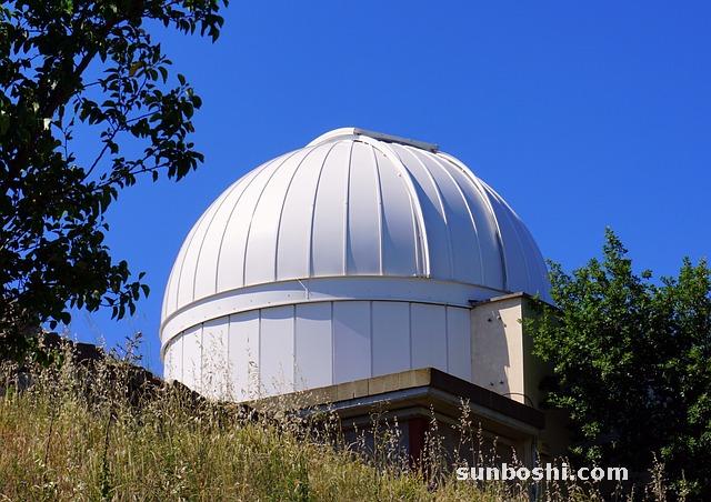 蒼術的功效與作用-炒蒼術-麩炒蒼術-蒼術黃柏-麩蒼術