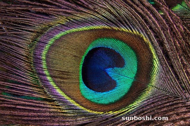 夢見收拾-夢見收拾房子-夢見收拾房間