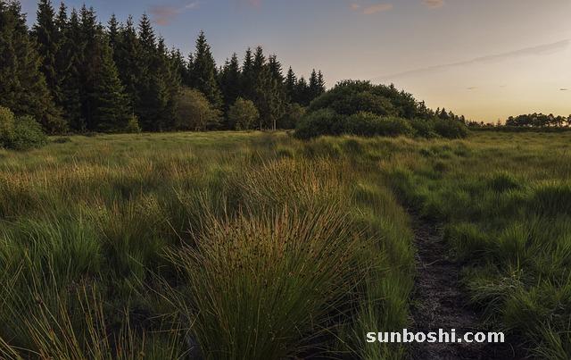 達泊西汀片的功效與作用價格-鹽酸達泊西汀片