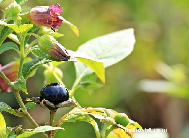 夢見姐在哭-夢見姐姐在哭