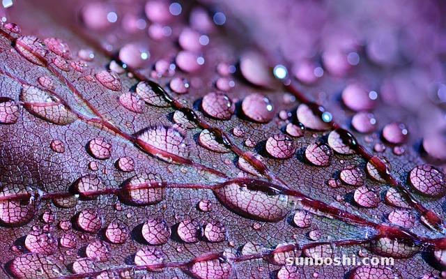 法莫替丁的作用與功效-法莫替丁和-法莫替丁G-法莫替丁注-法莫替丁注射