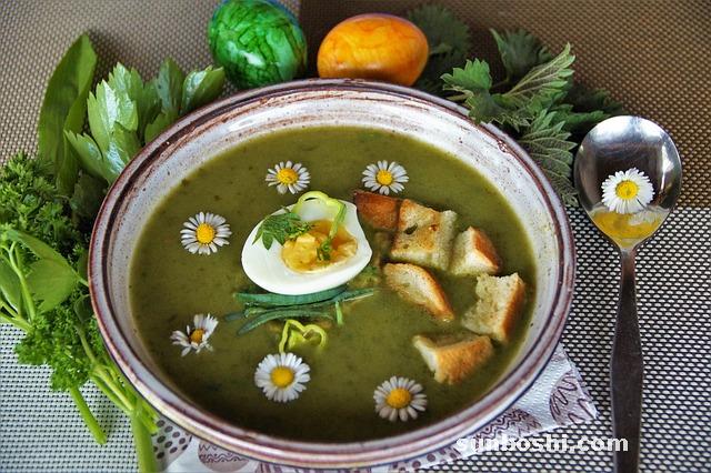 獨(dú)活的功效與作用-羌活獨(dú)活-中藥獨(dú)活-獨(dú)活草