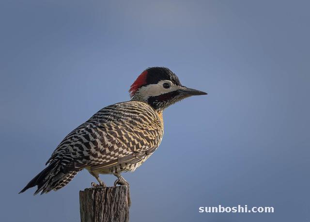 夢見塌陷-夢見房子塌陷-夢見墳?zāi)顾?>
                </div>
            </a>
        </div>
        <div   id=