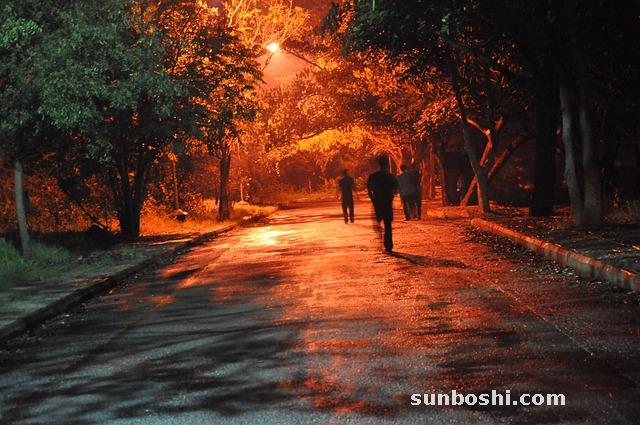 冬凌草的功效與作用-冬凌草片-冬凌草茶-冬凌草含片-冬凌草膠囊