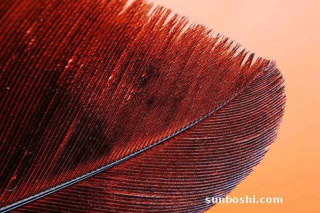 夢見上錯廁所-夢見上錯廁所也有女生