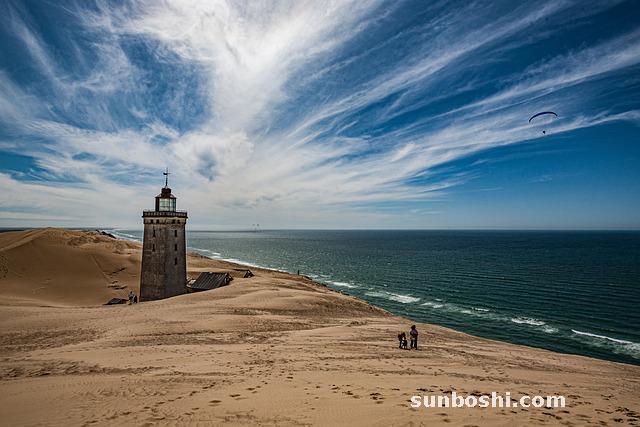海龍的功效與作用-海龍泡酒-海龍-海龍海馬-海龍魚(yú)