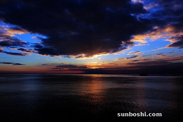 海風藤的功效與作用-中藥海風藤-海風藤劑量-海風藤藥物