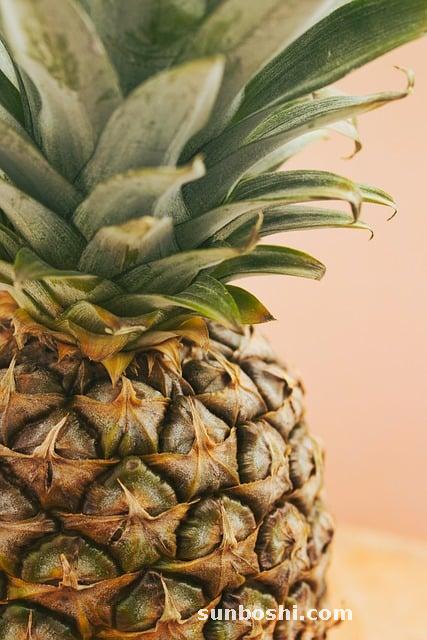 菠蘿的功效與作用禁忌-菠蘿蜜-菠蘿汁-菠蘿皮