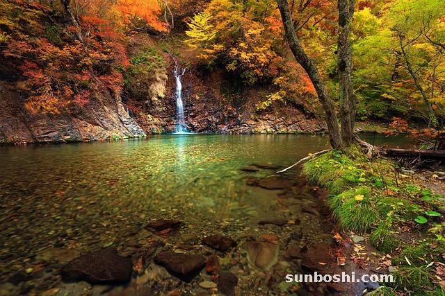 赤石脂的功效與作用-煅赤石脂-中藥赤石脂-赤石脂藥-赤石脂網(wǎng)
