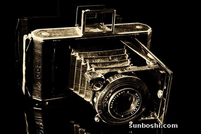 黑墨草的功效與作用及禁忌-雞吃黑墨草的功效與作用-黑墨草和生姜的功效與作用