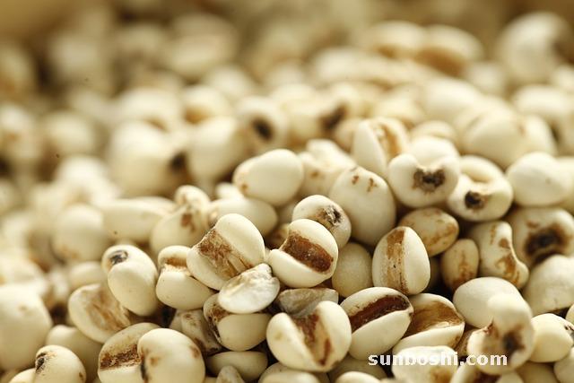 薏仁的功效與作用-薏仁粉-薏仁米-薏仁米食用方法-紅豆薏仁