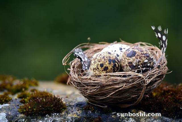 鵪鶉蛋的功效與作用-酒釀鵪鶉蛋-鵪鶉蛋食用方法-米酒鵪鶉蛋-蒸鵪鶉蛋