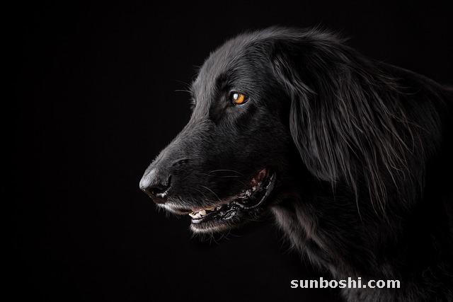 奧淡平片的作用與功效