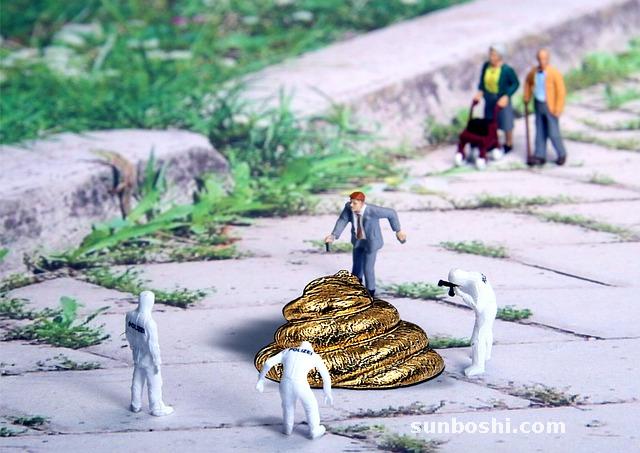 牛寶的功效與作用-牛鞭牛寶-牛寶湯-牛寶泡酒-天力中華牛寶