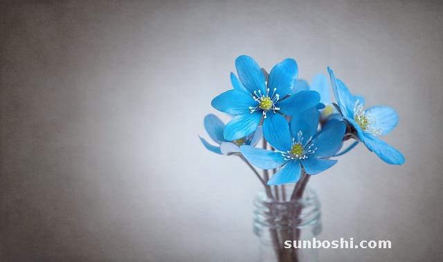 夢境解析夢見肝-肝臟-吃肝-肝臟被取出-肝-雞肝-肝血-熟豬肝