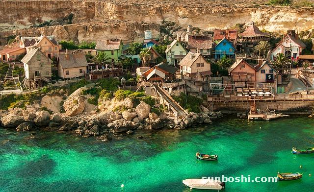 大力的功效與作用-大力牛-大力子-大力草-大力參