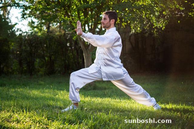 太極的功效與作用-太極拳-太極參-太極丸-太極石面料