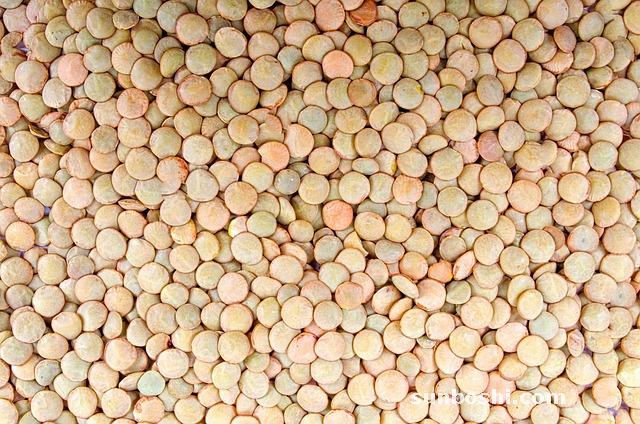 豆干的功效與作用-刀豆干-缸豆干-黑豆干草-狗仔豆干