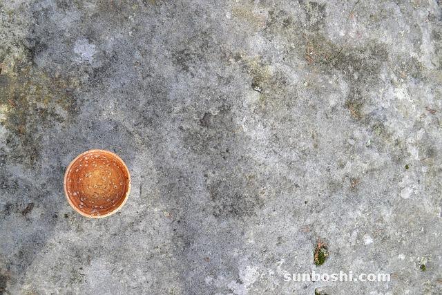 巖茶的功效與作用-武夷巖茶-巖茶肉桂-老巖茶-武夷山巖茶