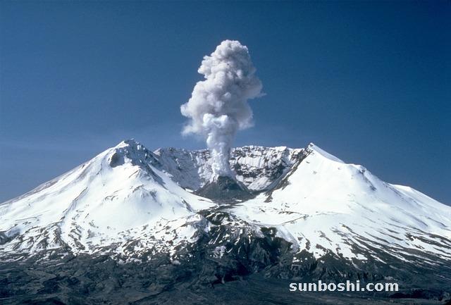 釋迦的功效與作用-釋迦水果的功效與作用-蜜釋迦的功效與作用