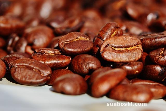 豆類的功效與作用-五谷豆類功效與作用-各種豆類功效與作用