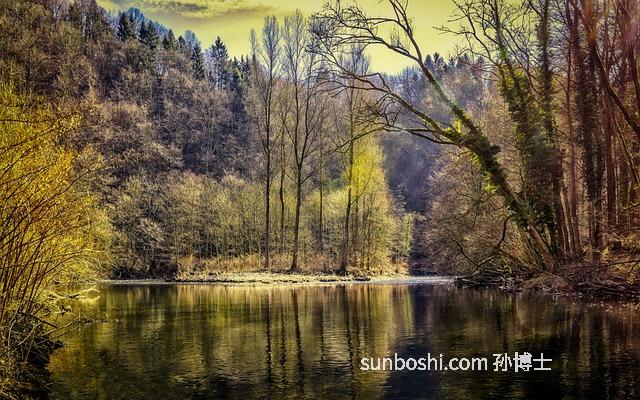 血珀的功效與作用-血珀手串的功效與作用