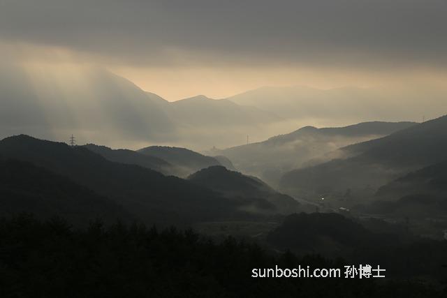 太白的功效與作用-太白米的功效與作用-太白芍的功效與作用