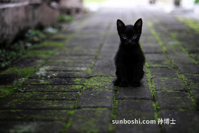 夢見跟明星-夢見跟明星接吻-夢見跟明星拍照