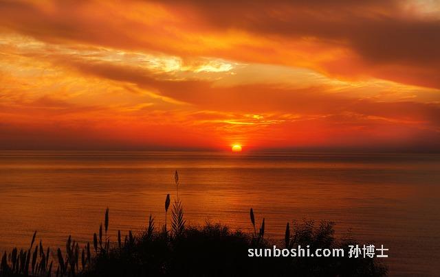 海草的功效與作用-海草面膜的功效與作用-黃色海草功效與作用