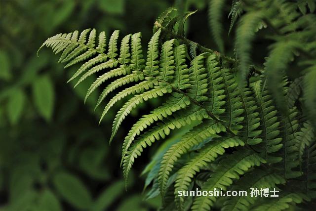 夢見東西壞-夢見自己的東西壞了-夢見家里東西壞了