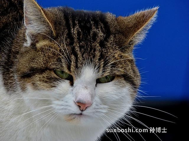 夢見手表壞了-夢見自己的手表壞了-孕婦夢見手表壞了